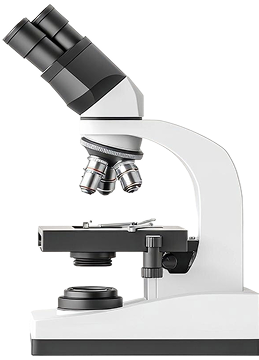 Our treatment program overview